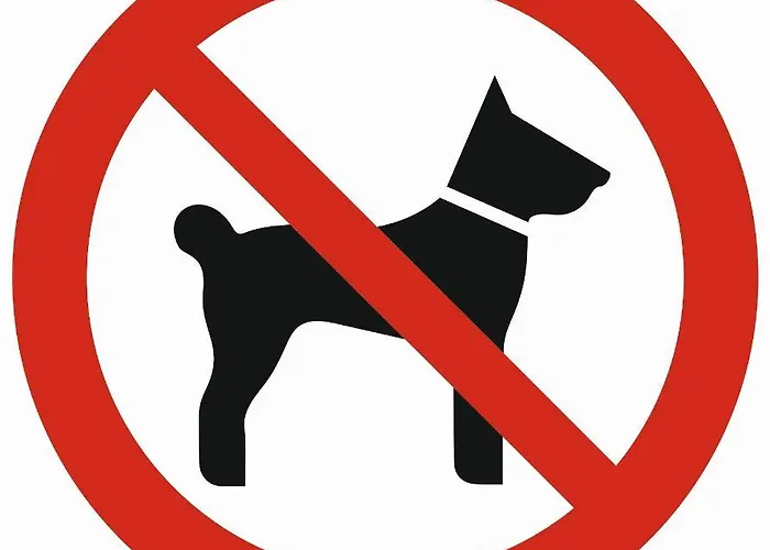 Oaza Superior Zakopane